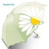 Accesorii – Umbrele
