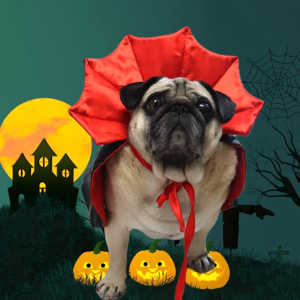 Red Black Pet Cat Vampire Cape Halloween Pet Dog Cloak Hat  Halloween Costume Party Supply