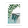 Scandinavian Nature Plant Palm Leaf Shell Beach Canvas Painting Poster Seaside Landscape Print Wall Art Picture Home Decoration