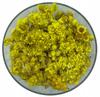 Flor de Siempreviva 100g Infusión de hierbas
