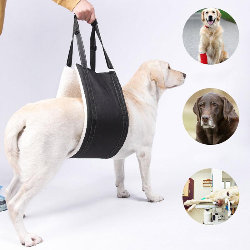 Harnais de levage pour chien Élingue réglable pour chien Assistance de mobilité multifonctionnelle pour les pattes arrière Aide pour animal de compagnie faible Outil d'assistance pour chien âgé