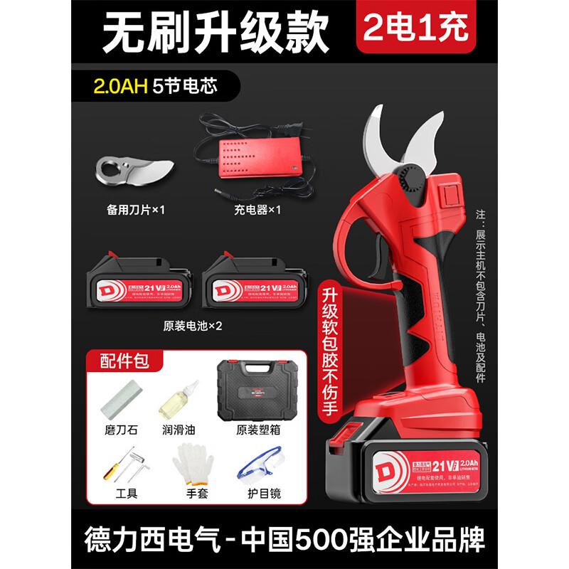 WBT Delixi Cordless Brushless Electric Pruning Shears CN plug (adapter included)