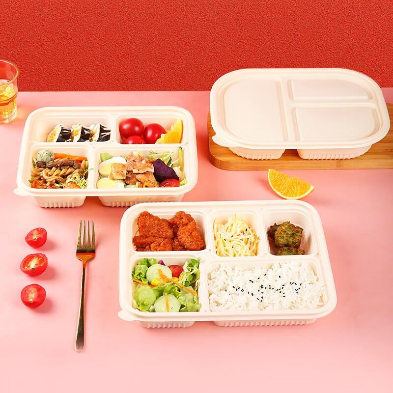 Handun TQ-850 Biodegradable 2-Compartment Rectangular Food Containers