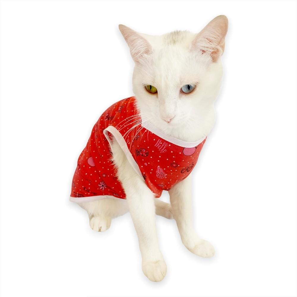 Cheap Cat Clothing and Supplies Joom