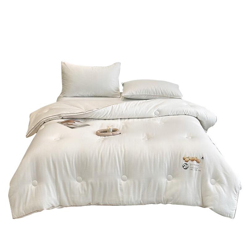 

YIYIAI 100% Cotton Sateen Jacquard Soy Fiber Blend Winter Quilt