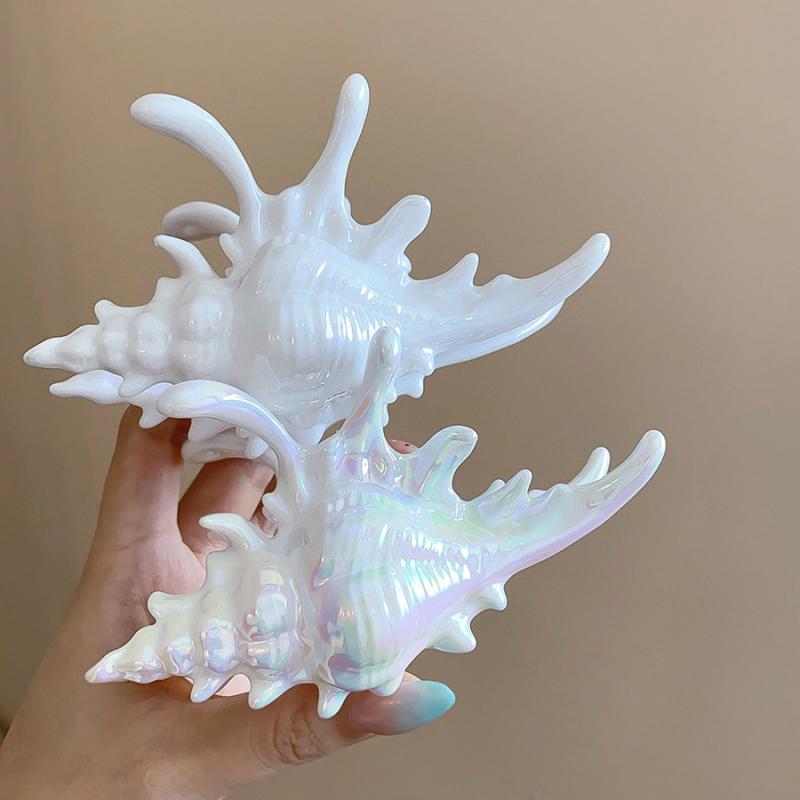 Creative Conch Hairpin Colorful Gift Hair Claw Elegant Shark Clip for Summer Beach New Headwear for Summer Beach