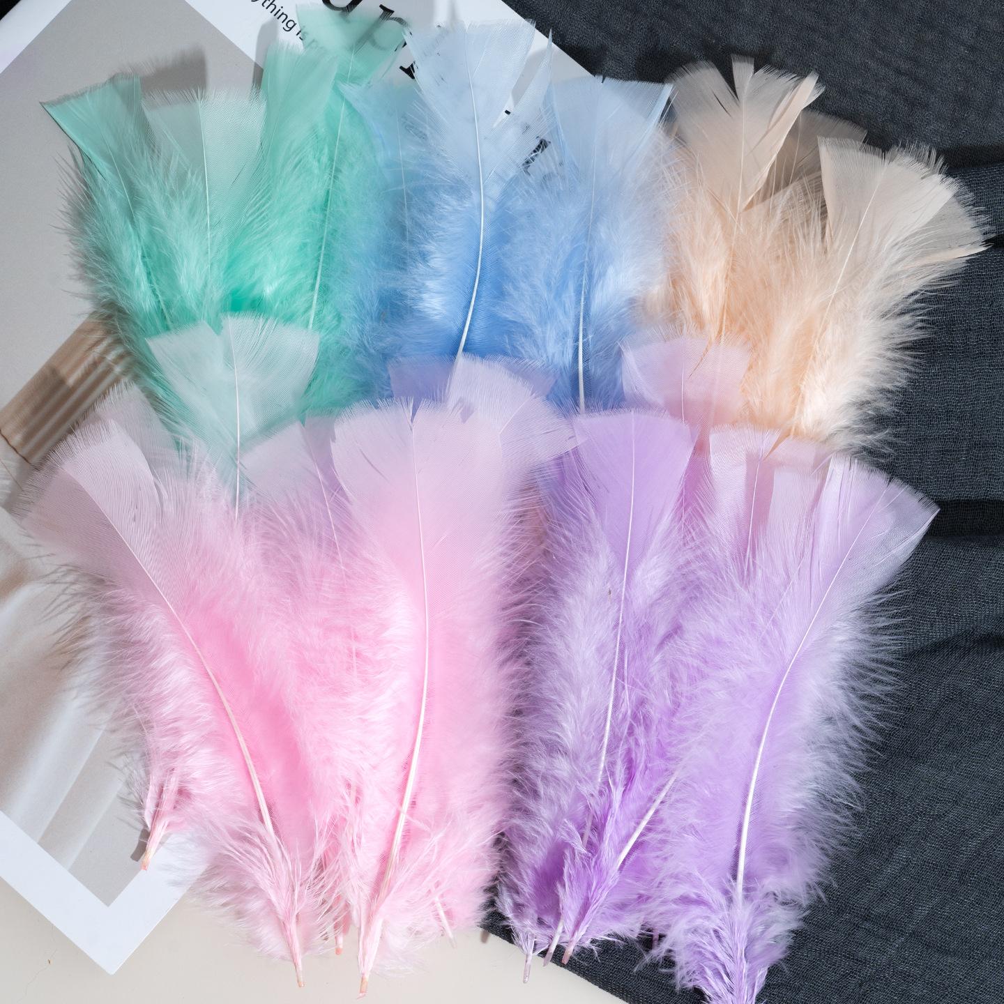 

50 Pcs/Set, Colored Feather Turkey Flat Hair Kindergarten Huanchuang Art Decoration Materials Diy Teaching Accessories 10pcs