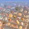 Transparent Magnetic Seashell Display Case Stylish DIY Small Craft Organisers For Workshops