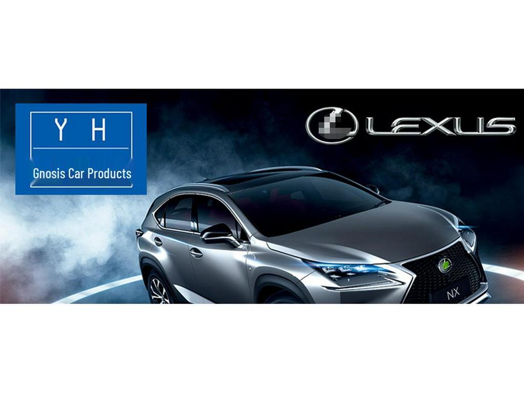 Stainless Steel Window Center Pillar Trim for 2015 Lexus NX