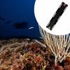 Sporturi nautice – Surfing şi scufundări