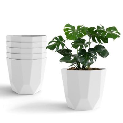 Hexa 6 Inch Pack of 6 Piece Plastic Plant Pot for Home Decor Indoor Plant Pots for Living Room Plastic Flower Pot for Garden (White)