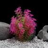 Aquarium Dekoration Sicher Multifunktional Kunststoff Simulation Künstliche Wasserpflanzen für Zuhause