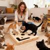 Cat Nail File Box Wooden Puzzle Scratcher Cat Nail Scratch Enrichment Box Cat Hunting Play Toy with Balls Interactive Toy