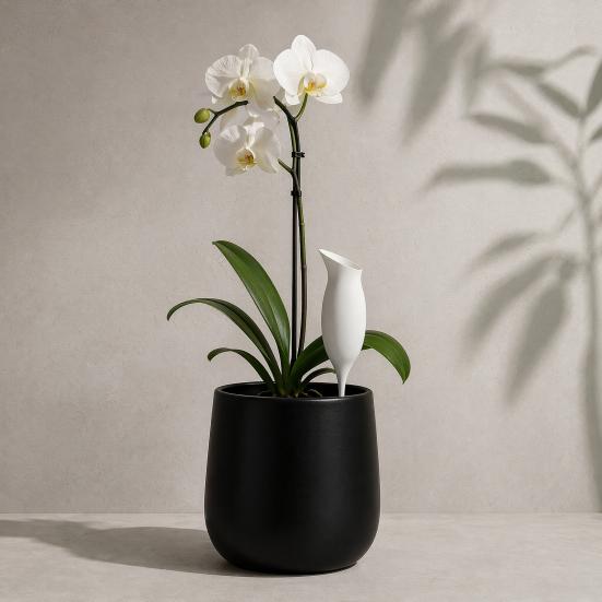 Wine Glass Self Watering Planter, 3D Printed Matte Black PLA Automatic Watering Dispenser, Universal Fit for Pots, Easy Plant Care for Travel Lazy