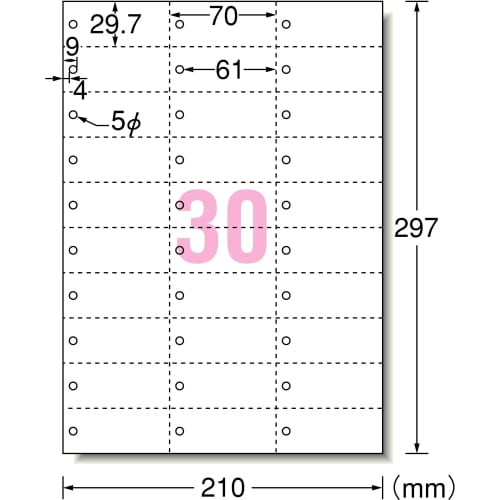 A-One Multi Card 30 Sides Word Card Size Perforated 5 Cards 51163