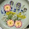 Dried Pressed Flowers For Resin Molds, DIY Bookmark Resin Epoxy Accessories, Small Dried Flower Natural Herbs Pressed