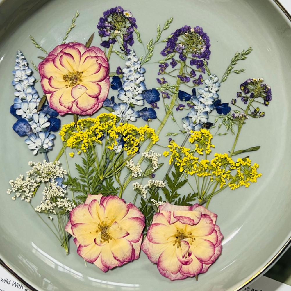 Dried Pressed Flowers For Resin Molds, DIY Bookmark Resin Epoxy Accessories, Small Dried Flower Natural Herbs Pressed