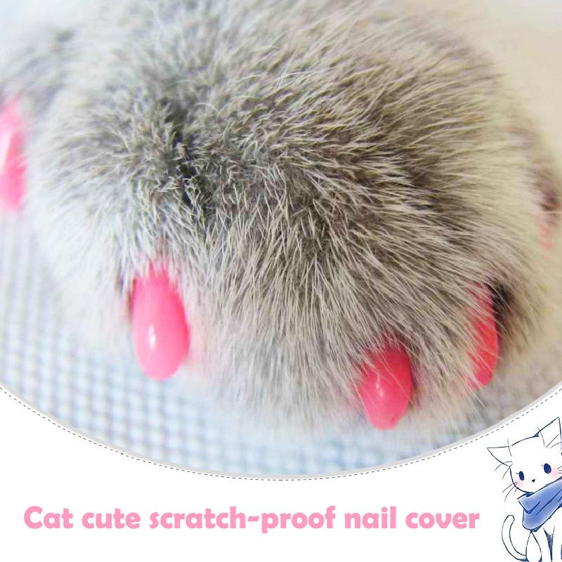 Colorful Cat Nail Caps Silicone Soft Cat Fingernail Cover Cat Paw Claw Pet Nail Protector With Free Glue Pet Supplies
