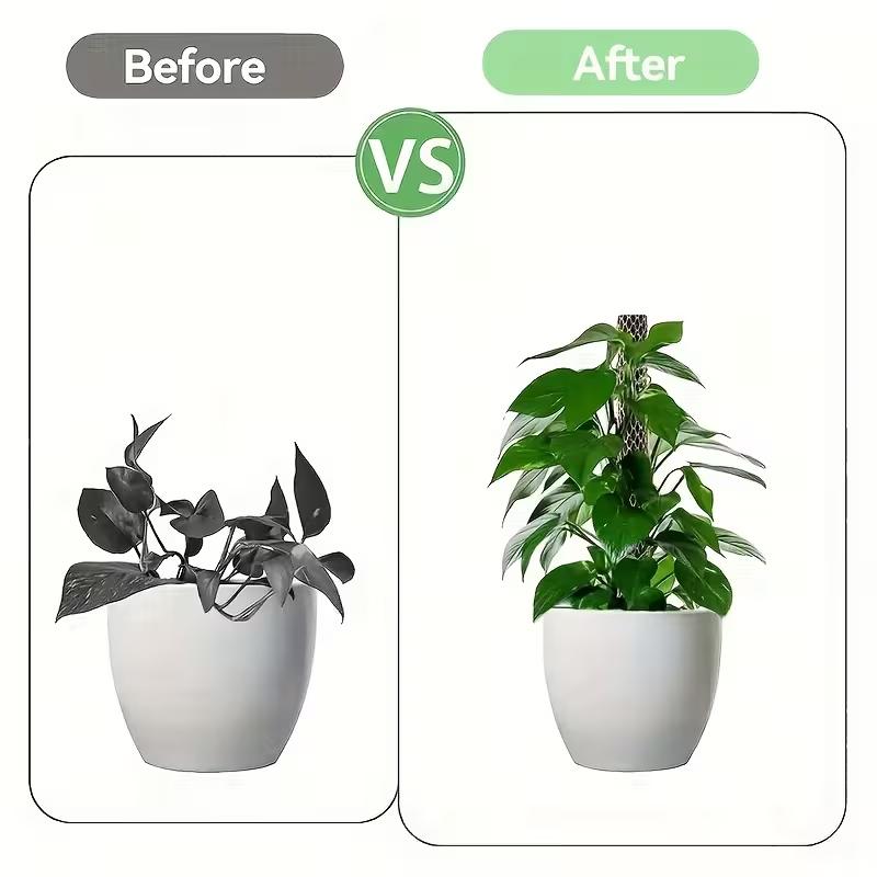1 Set Stapelbare Plastik Moosstangen-Platten für Kletterpflanzen Langlebige Zimmerpflanzen-Stäbe Mit Netzdesign Für Ranken Blumen