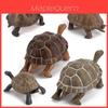 Figurine Statique Modèle Tortue Terrestre en PVC pour Enfants avec Design Réaliste pour Collectionneurs et Enfants