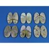 150Cts.Natural Pink Opal Matched Pair Oval Cabochon Loose Gemstone 6Pair Lot C-2415
