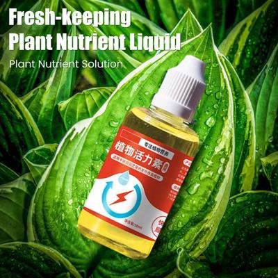 Soluzione Nutritiva per Piante 50ml Fertilizzante Liquido Promuove la Crescita delle Radici Propagazione Pianta Stimolatore di Fioritura per Propagazione in Acqua e Suolo Fiori Piante da Frutto