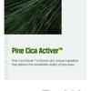 ROUND LAB - For Men Pine Calming Cica Toner
