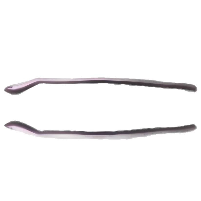 Left Windshield Seal Strip for BMW 5 Series F07 BMW 5 Series F07
