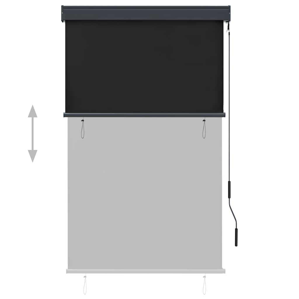Vidaxl External Roller Blind, 100X250 Cm, Anthracite
