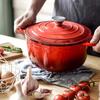 ENAMELLED CAST IRON POT 22cm 3L HAGE RED