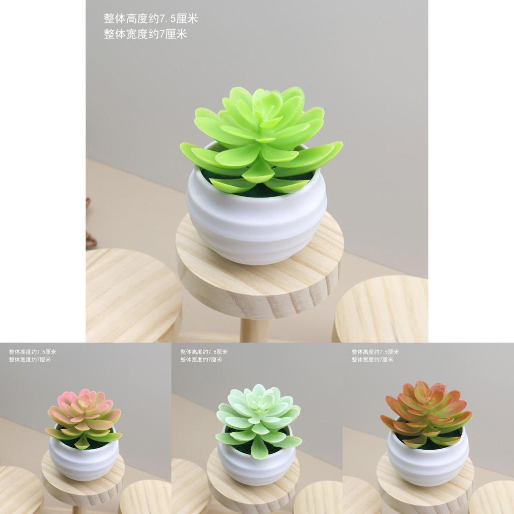 Mini Succulent Plant Lotus Artificial Potted Plant T For Home Decor