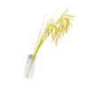 Artificial Simulation Wheat Stalks Fake Flowers Golden Sunshine Color Home Decor Simulated Ear Of Wheat for Farmhouse