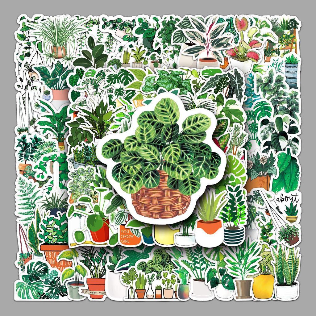 100 Green Plant Graffiti Stickers: Fresh, Waterproof DIY for Skateboards, Water Bottles, and Luggage