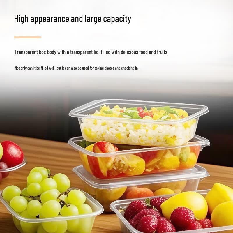 Xin Muzun Disposable Square Takeout Meal Boxes with Lids