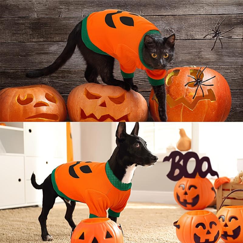1pc Pet Dog Halloween Pumpkin Costume Cute Animal Themed Clothing for Dogs