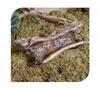 Caverna Esconderijo para Répteis Abrigo de Casca Natural para Tartaruga Lagarto Gecko Escorpião Aranha Anfíbio Decoração de Terrário Habitat Escalada
