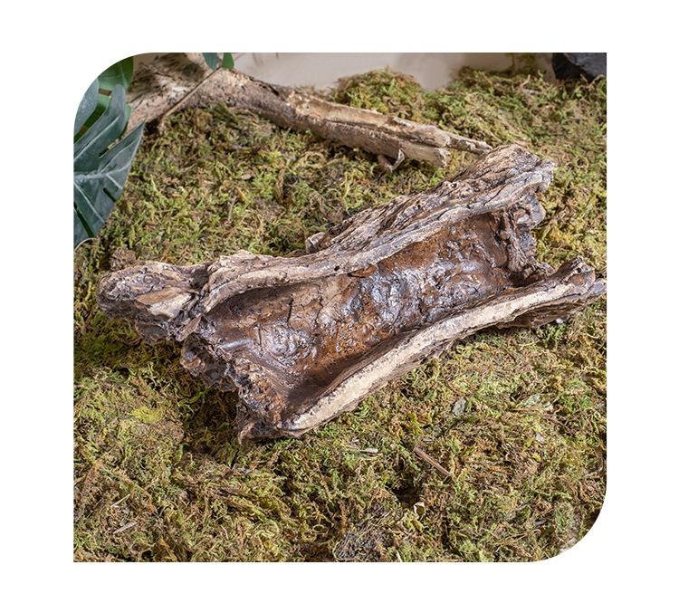 Caverna Esconderijo para Répteis Abrigo de Casca Natural para Tartaruga Lagarto Gecko Escorpião Aranha Anfíbio Decoração de Terrário Habitat Escalada