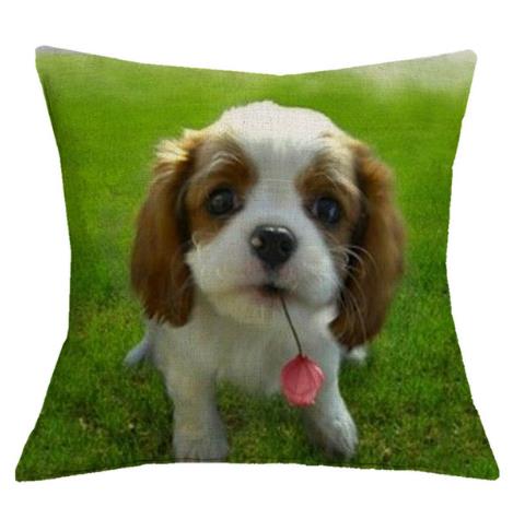 Cavalier King Charles Spaniel 45X45Cm Pillowcase Bedroom Sofa Home Decor