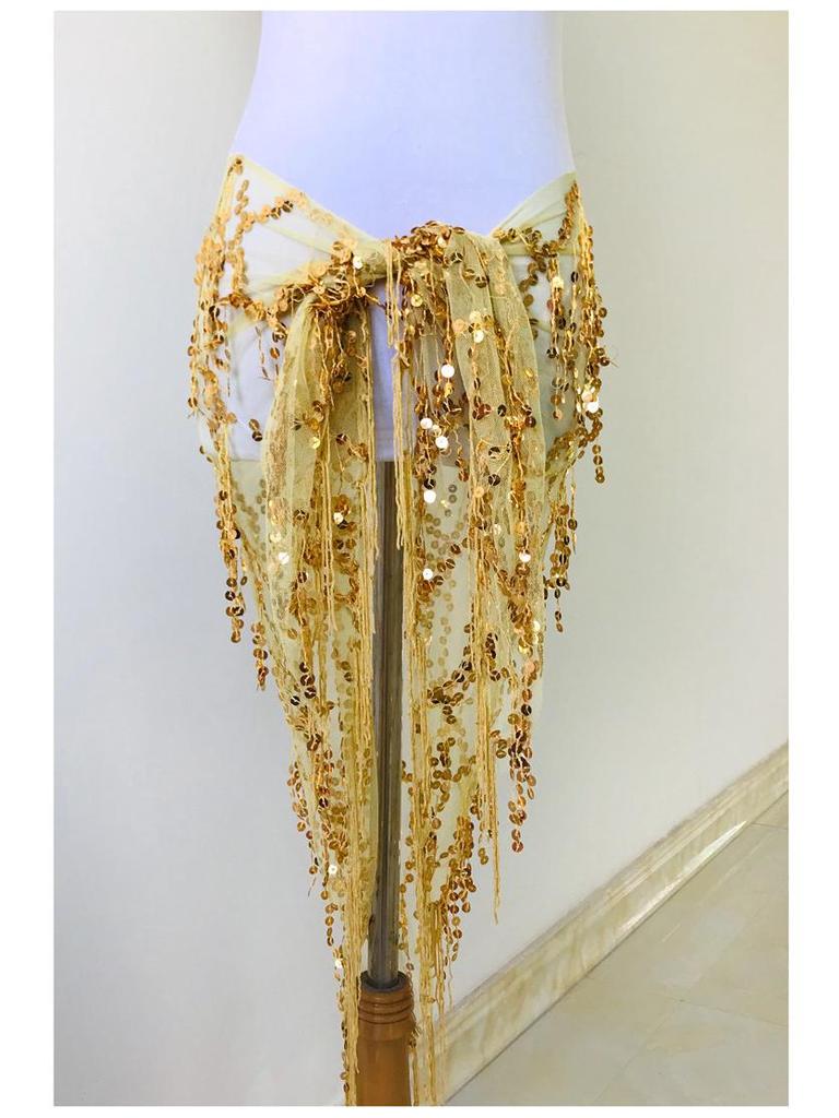 Halloween Belly Dance Sequin Tassel Hip Scarf for Beginners