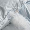 Peapod Duck Down Comforter