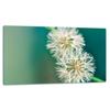 GLASS CUTTING BOARD 52x30 FLOWERS