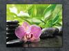 TAGLIERE IN VETRO 52x40 ORCHIDEA
