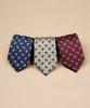 MANNERGRAM Est. Brown Bold Small Paisley Tie - 3 Colors