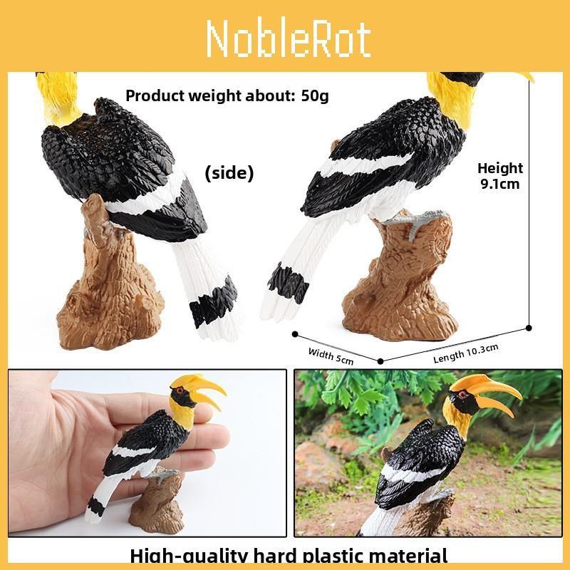 Model Wildlife Animal Solid Plastic Parrot And Hornbill Figures For Kids Gift