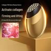 EMS Collagen Photon Rejuvenation Facial Device