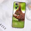 Squirrel Case For Realme 15 14 13 11 12 Pro Plus GT6 GT7 Pro C55 C51 C53 C35 C33 C31 C61 C67 C71 C75