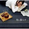 Ikehiko Domestic Rush Rug Carpet DX Ranks Full Color Wine 140 X 200cm Backed Approx. #8212750