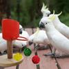 Bite Resistant Bird Toy Basketball Toys Mini Basketball Hoop Parrot Toys  Relieve Boredom