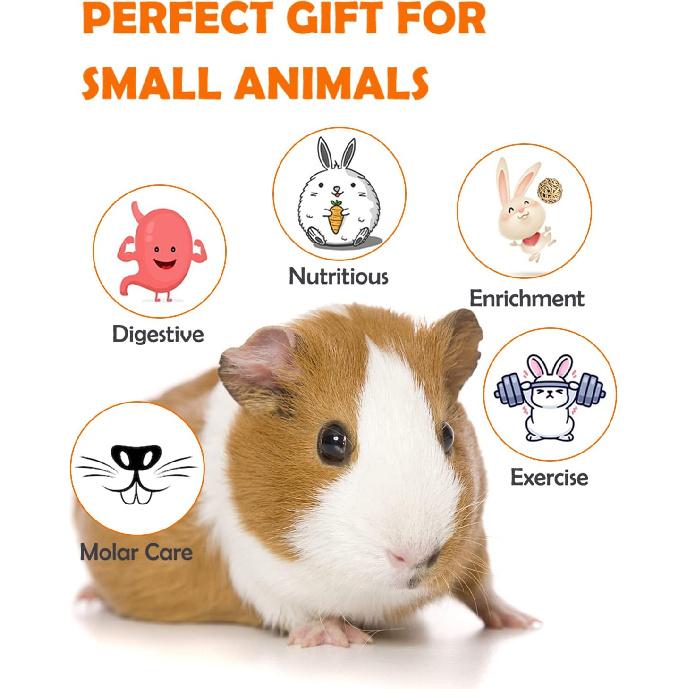 Sofier Hamster, Guinea Pig Toys Accessories Natural Chews for Teeth Rabbit Bunny Rat Chinchilla Hideout Ball Apple Wood Timothy Hay Sticks