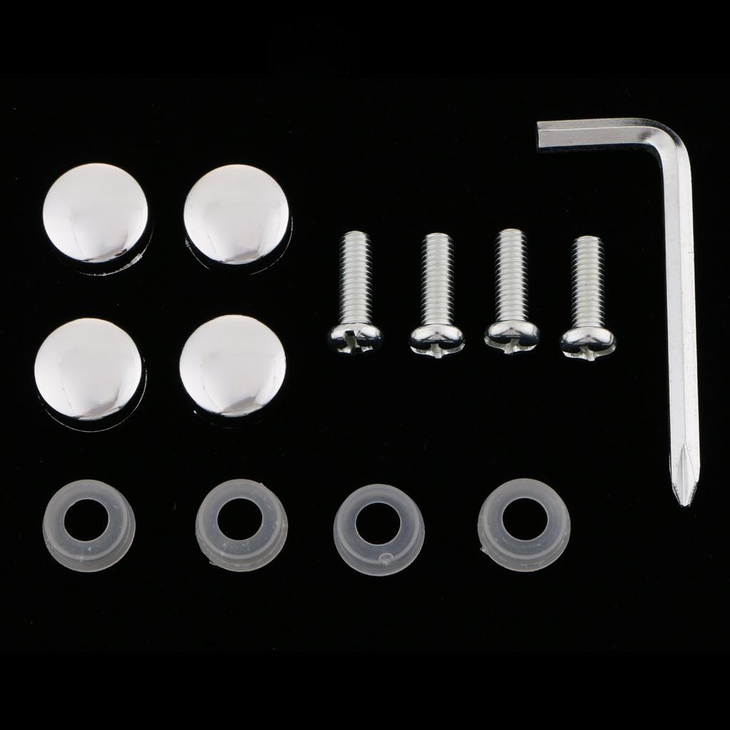 Stainless Steel Screws and Flat Caps Cover